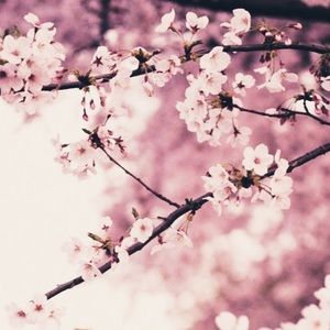 Meet your Posher, Aura!